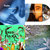 akikoh thumbnail